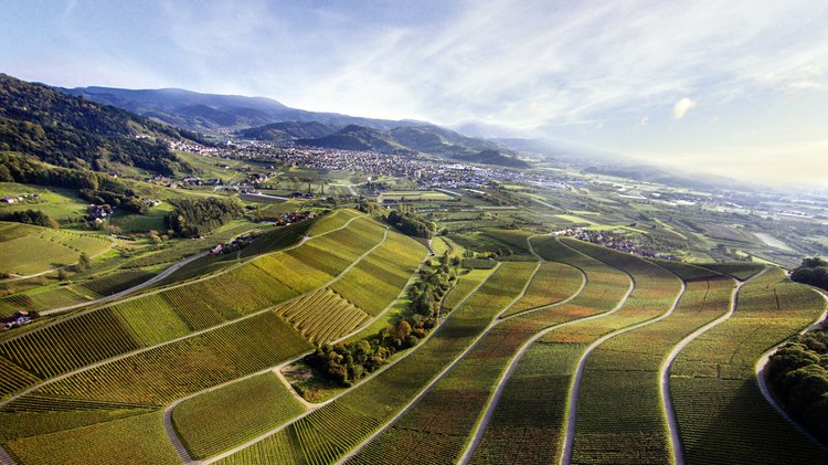 Rebland Oberkircher Winzer